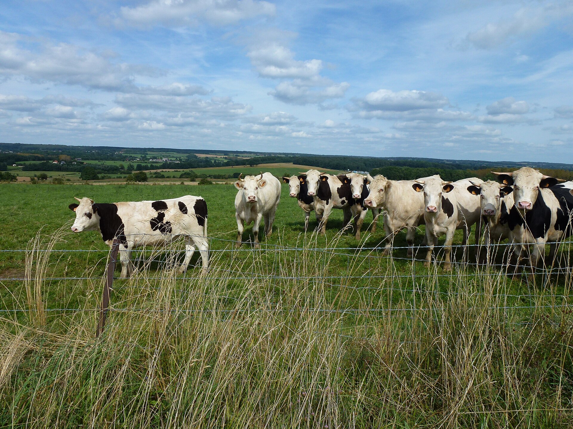 Paysage du département Ardennes