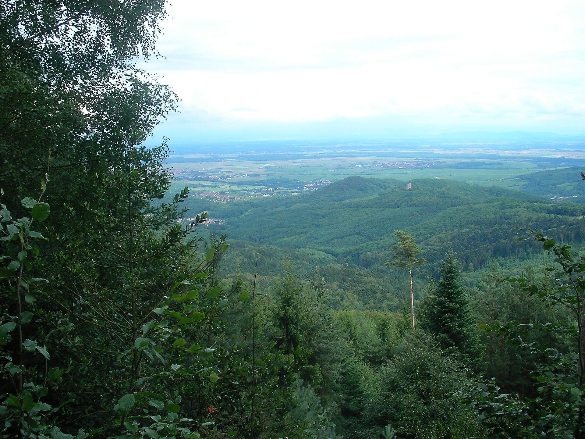 Paysage du département Bas-Rhin