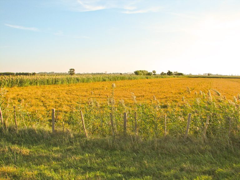 Paysage du département Bouches-du-Rhône