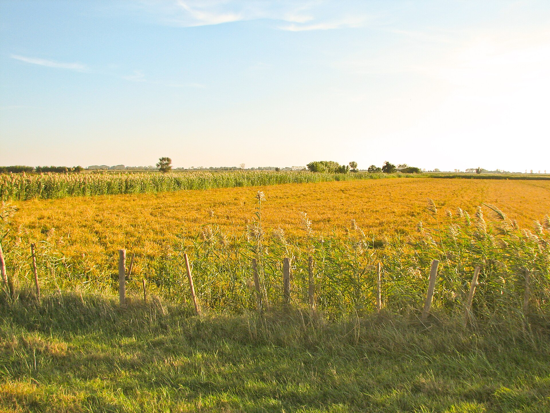 Paysage du département Bouches-du-Rhône