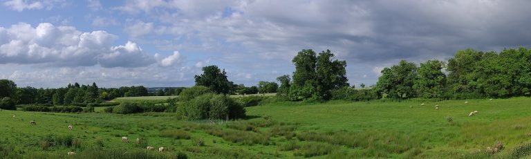 Paysage du département Charente