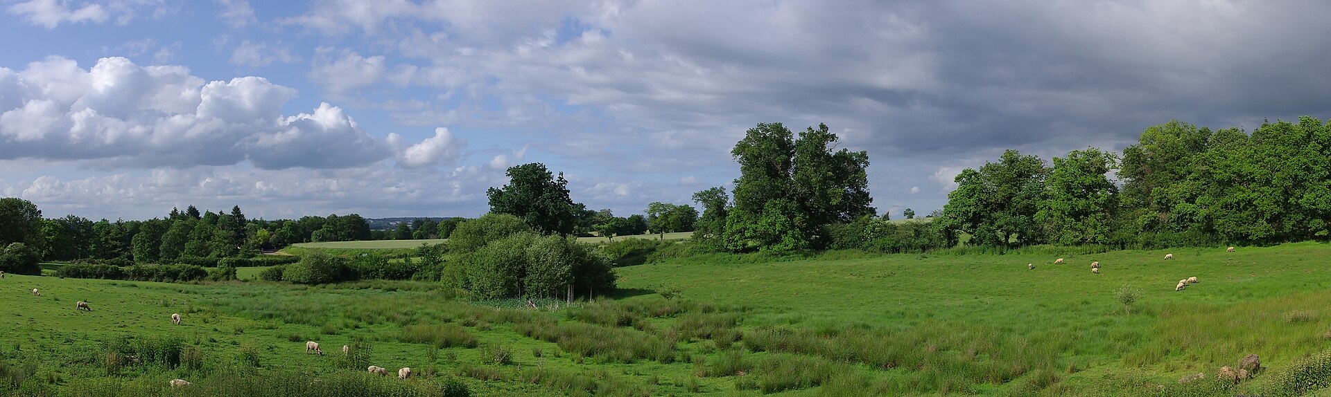 Paysage du département Charente