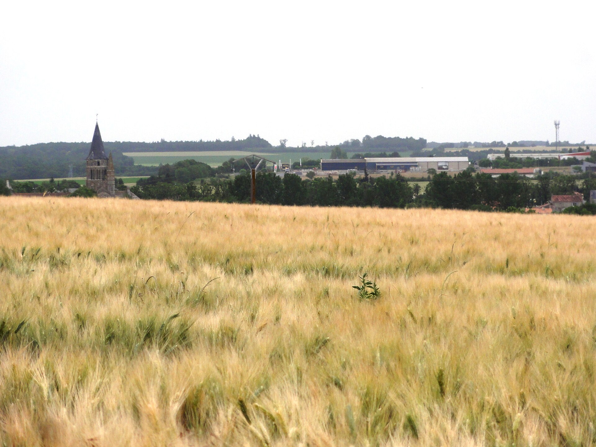 Paysage du département Charente-Maritime