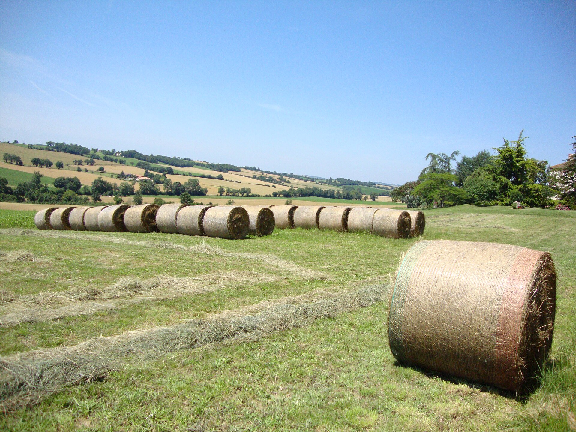 Paysage du département Gers