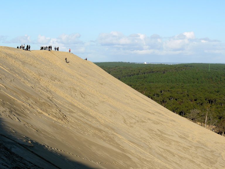 Paysage du département Gironde