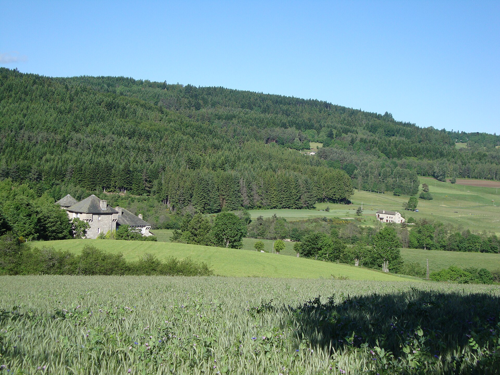 Paysage du département Haute-Loire