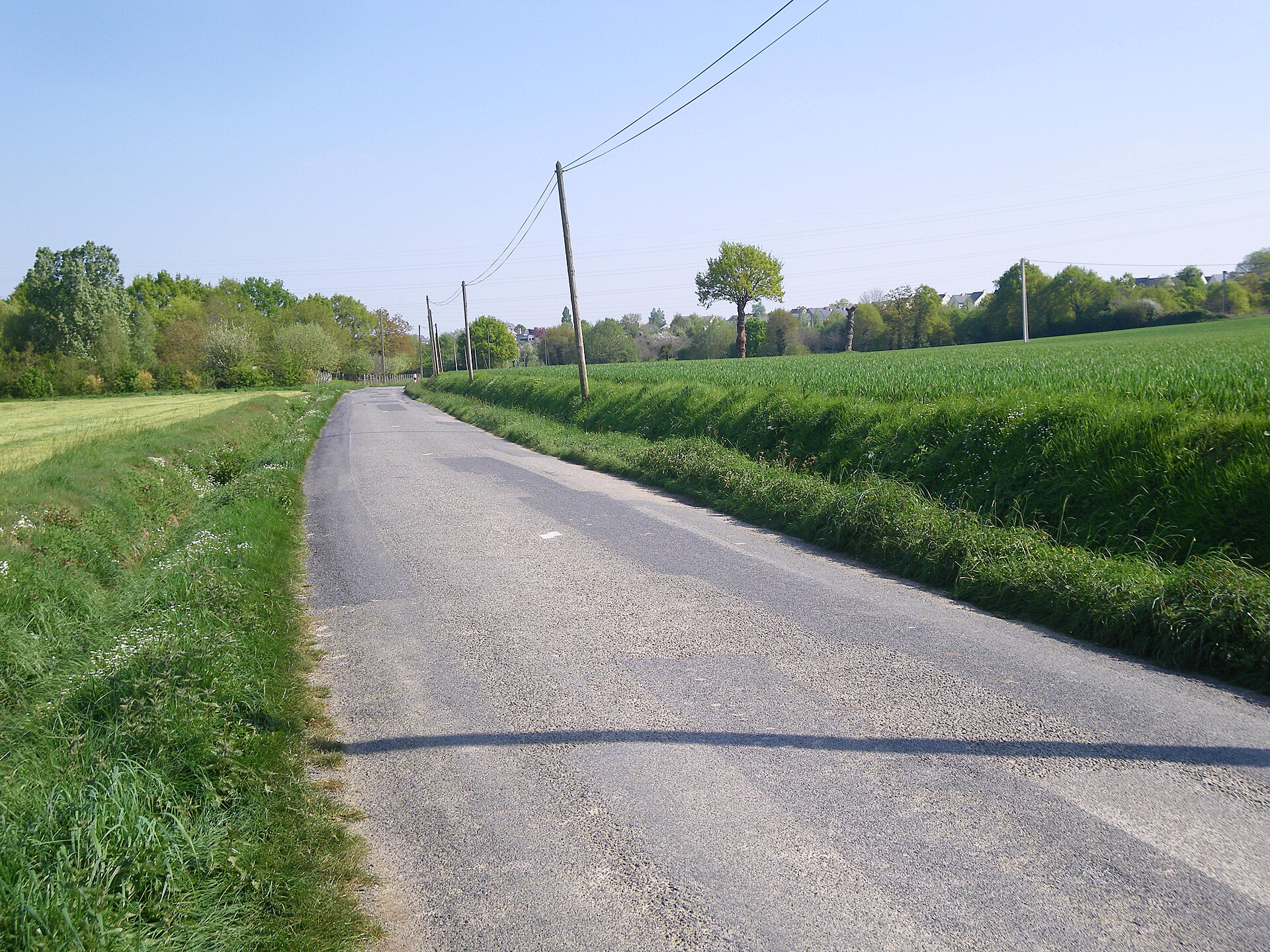 Paysage du département Ille-et-Vilaine