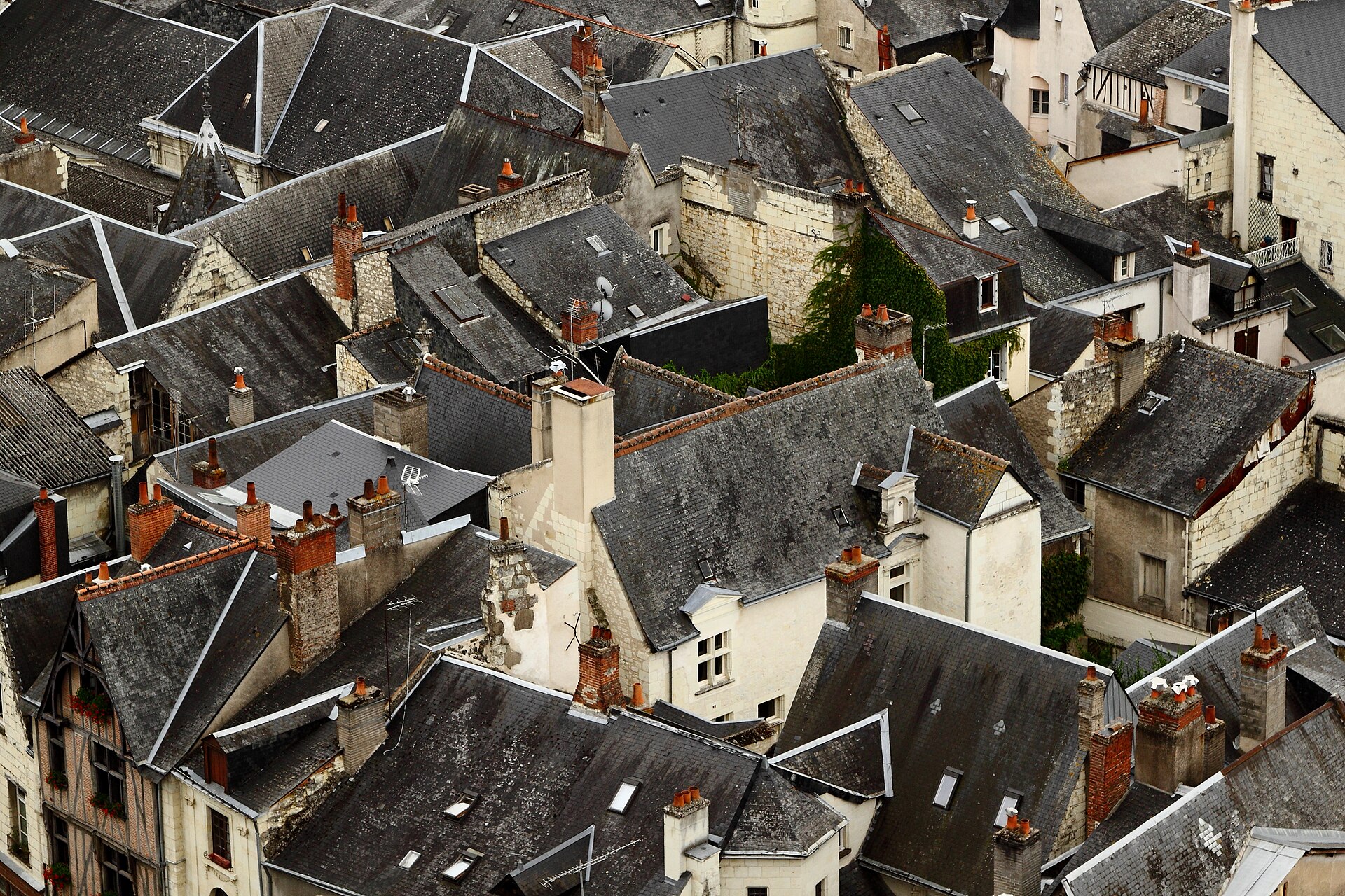 Paysage du département Indre-et-Loire