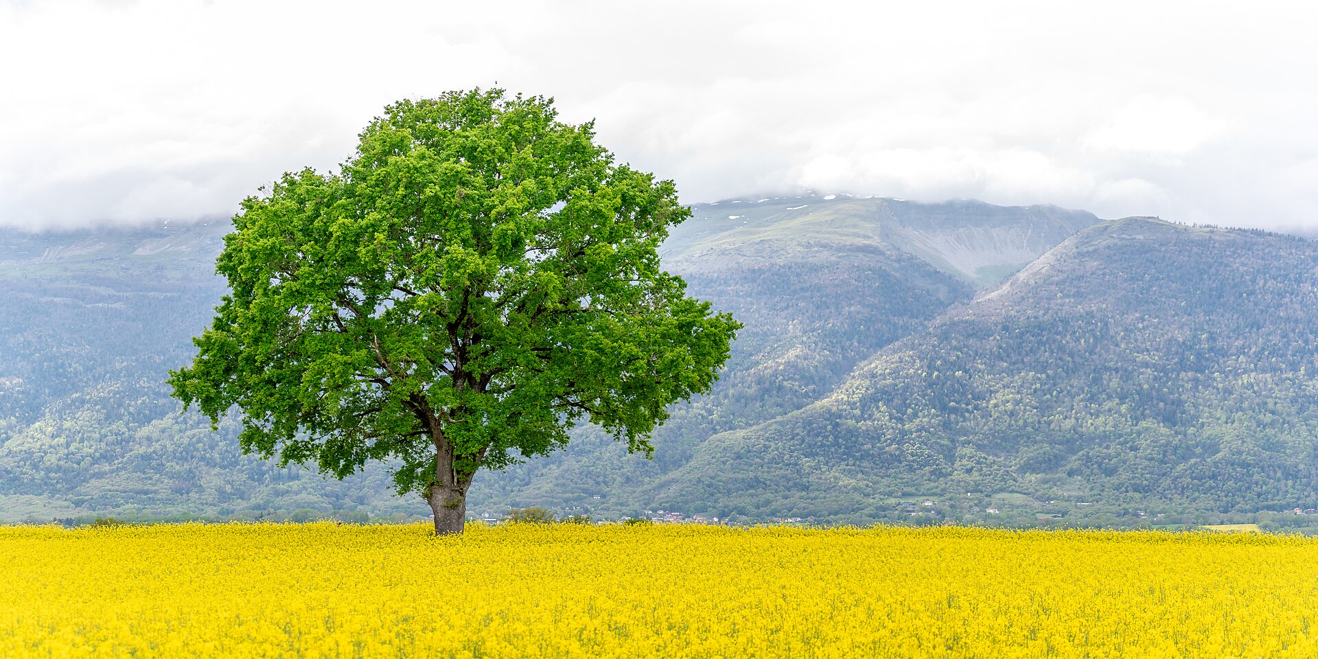 Paysage du département Jura