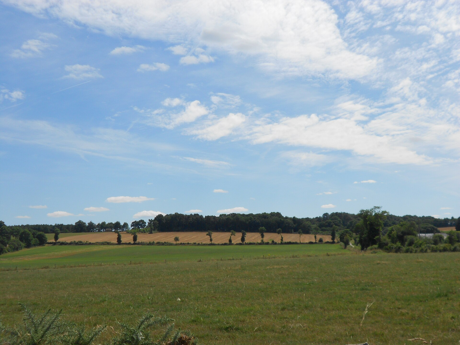 Paysage du département Loire-Atlantique