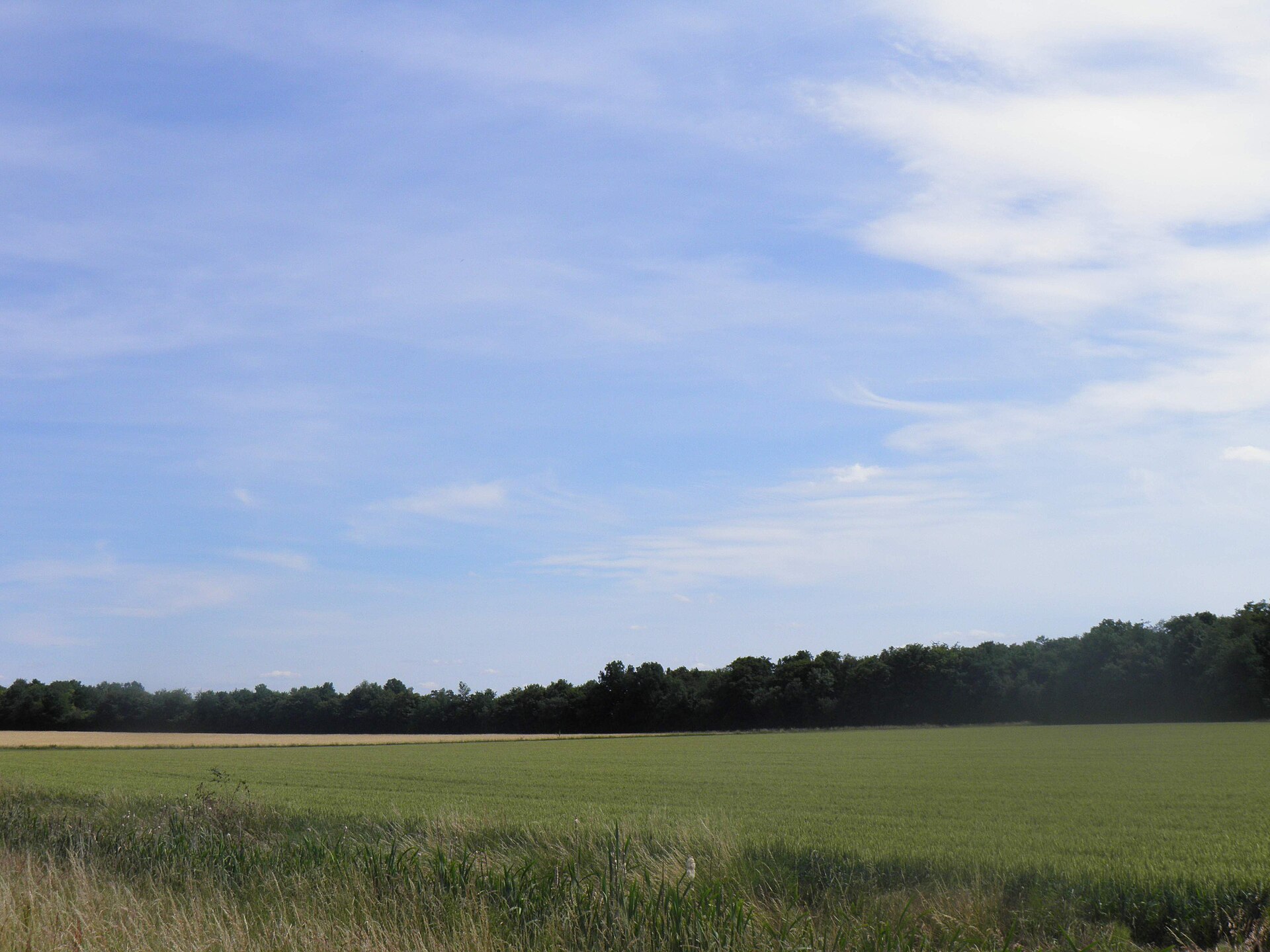 Paysage du département Marne