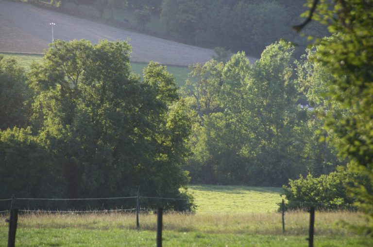 Paysage du département Nièvre