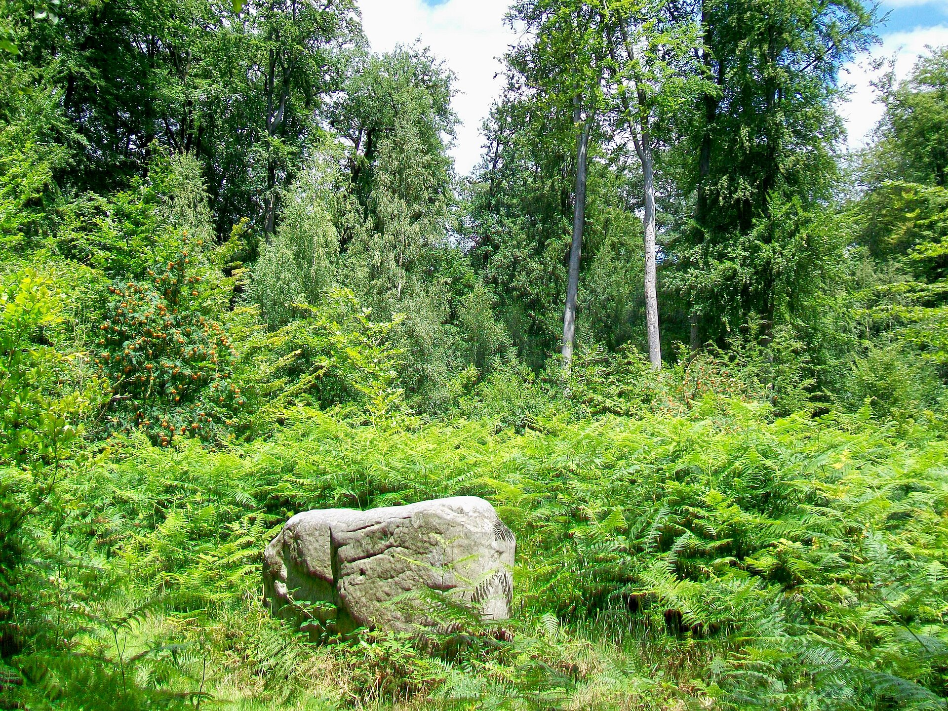 Paysage du département Oise
