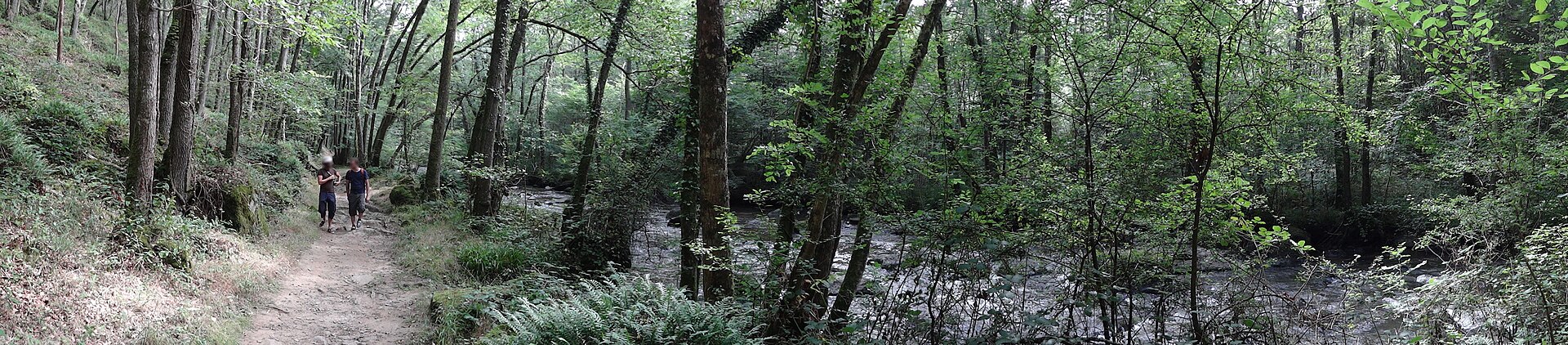 Paysage du département Orne