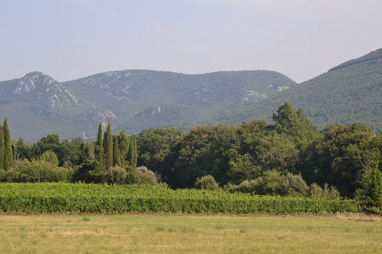 Paysage du département Pyrénées-Orientales