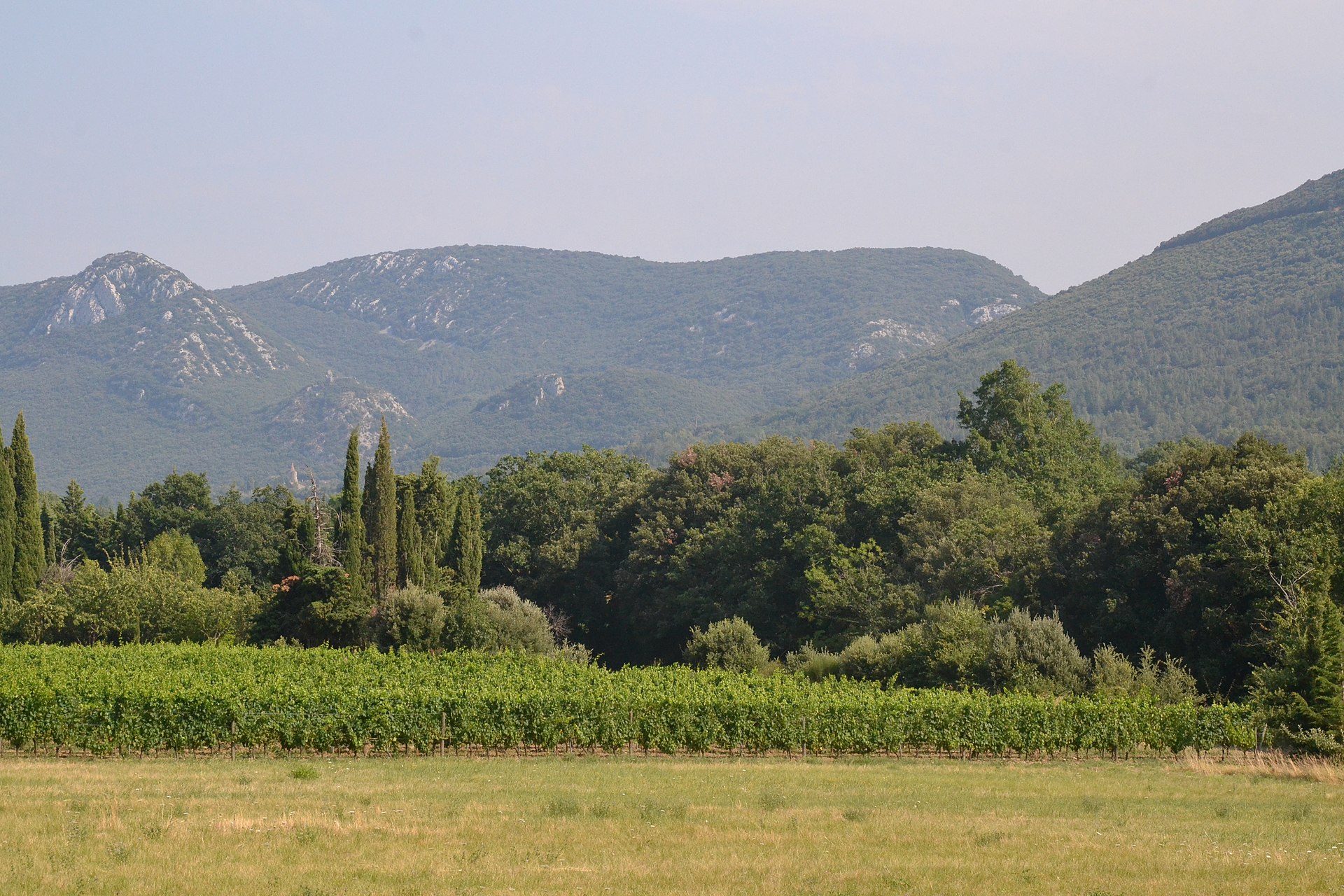 Paysage du département Pyrénées-Orientales