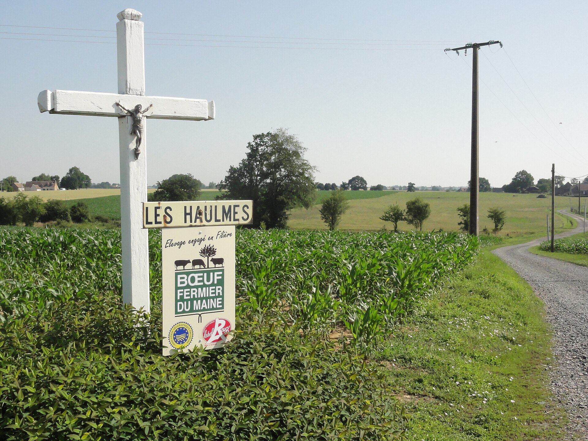 Paysage du département Sarthe