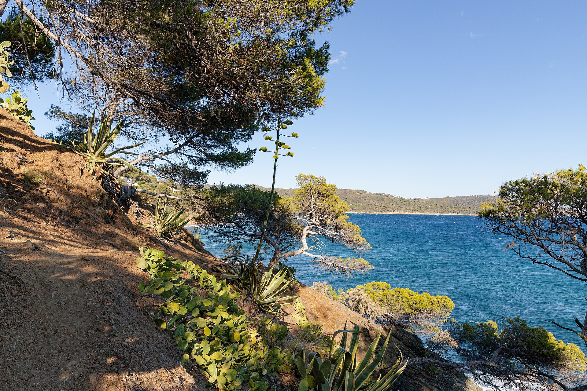 Paysage du département Var