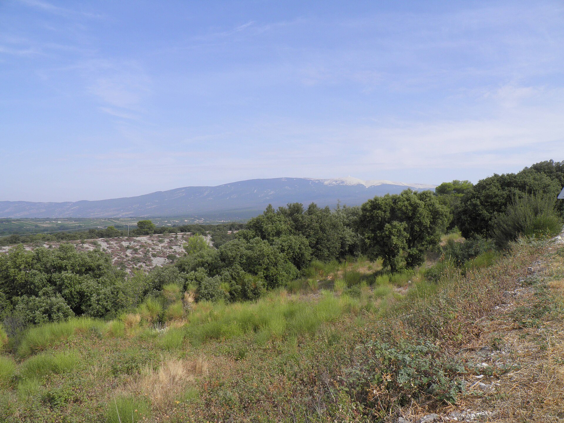 Paysage du département Vaucluse