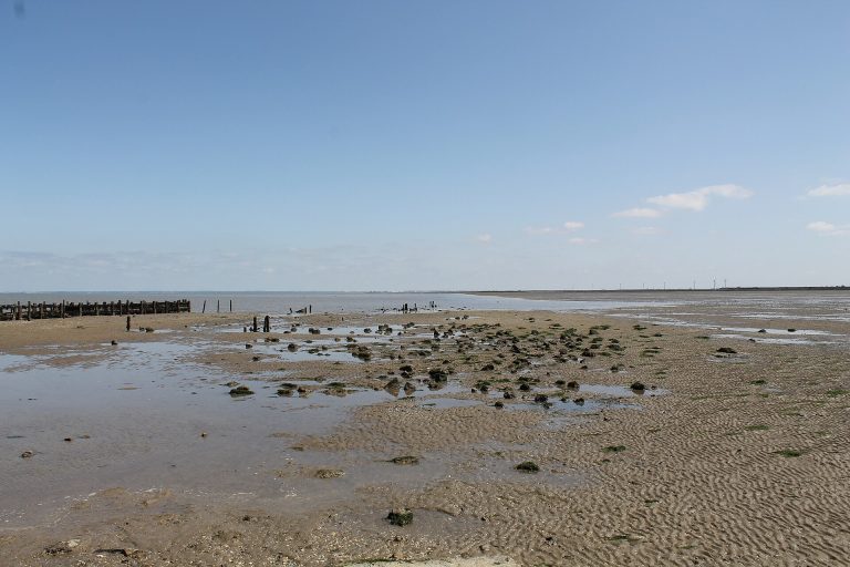 Paysage du département Vendée