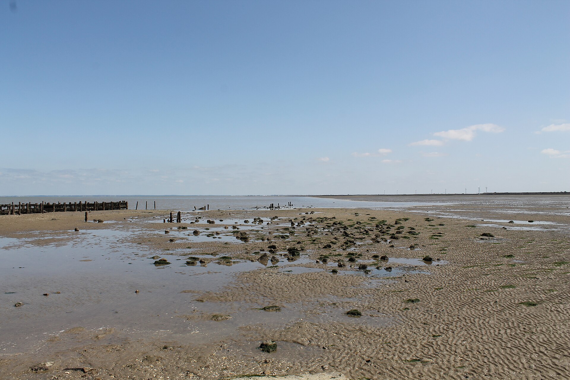 Paysage du département Vendée
